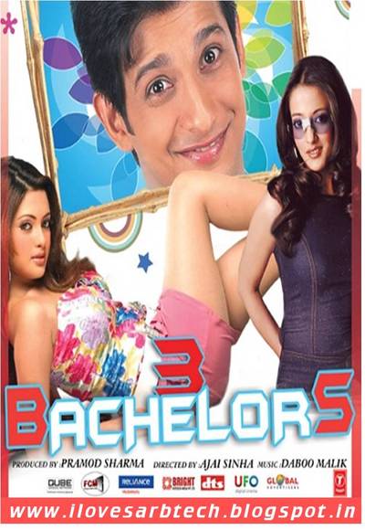 3 Bachelors (2012)