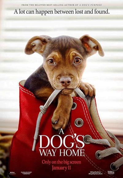 A Dog’s Way Home (2019) (In Hindi)