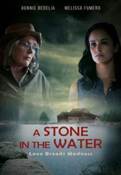A Stone in the Water (2019) (In Hindi)