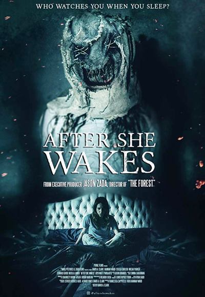 After She Wakes (2019) (In Hindi)