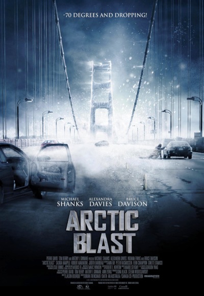 Arctic Blast (2010) (In Hindi)