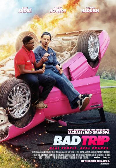 Bad Trip (2020) (In Hindi)