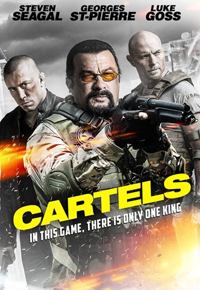 Cartels (2017) (In Hindi)