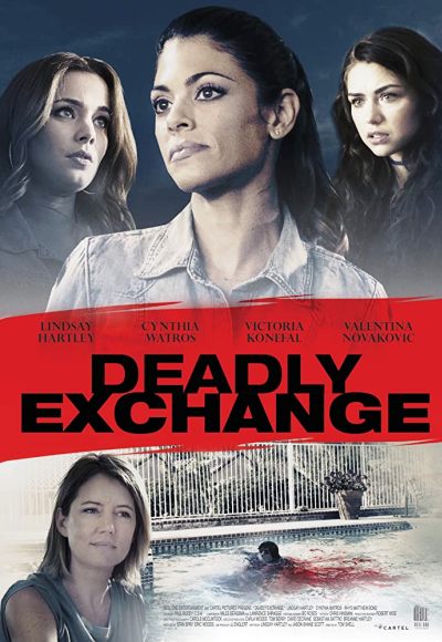 Deadly Exchange (2017) (In Hindi)