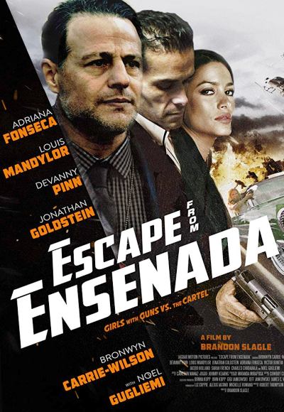 Escape from Ensenada (2017) (In Hindi)