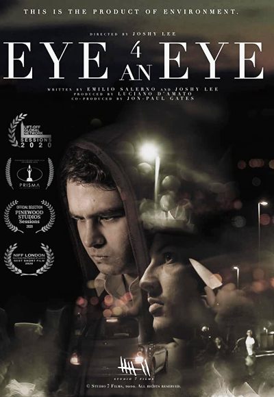 Eye 4 an Eye (2020) (In Hindi)