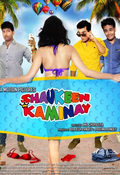 Shaukeen Kaminay (2016)
