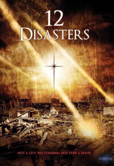 The 12 Disasters of Christmas (2012) (In Hindi)