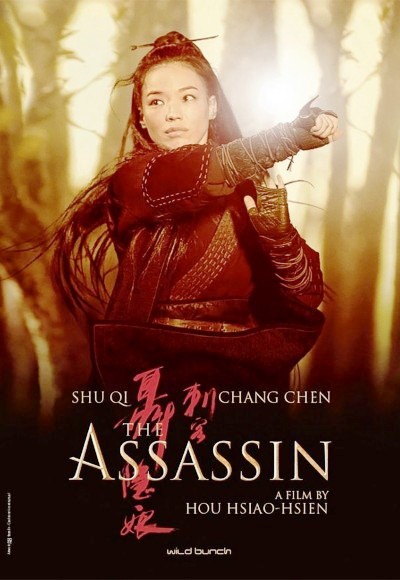 The Assassin (2015) (In Hindi)