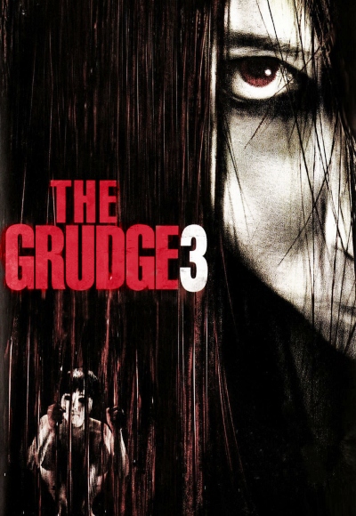 The Grudge 3 (2009) (In Hindi)