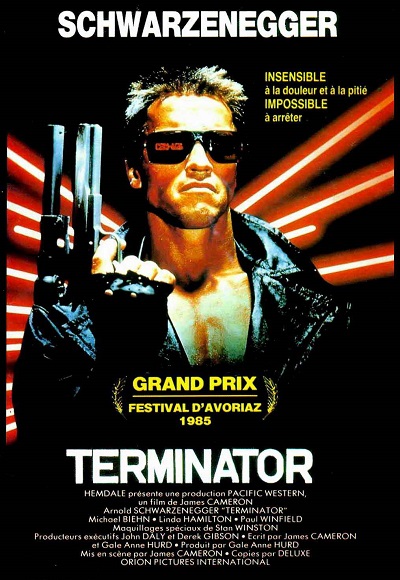 The Terminator (1984) (In Hindi)