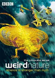 “Weird Nature” Puzzling Partners (2002) – Documentary