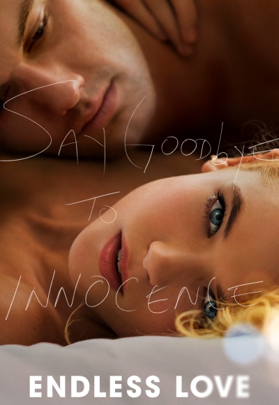 Endless Love (2014) (In Hindi)