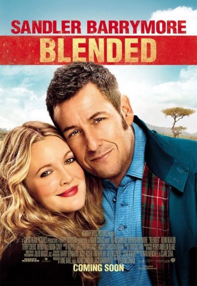Blended (2014) (In Hindi)