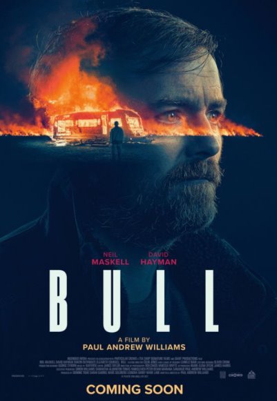 Bull (2021) (In Hindi)