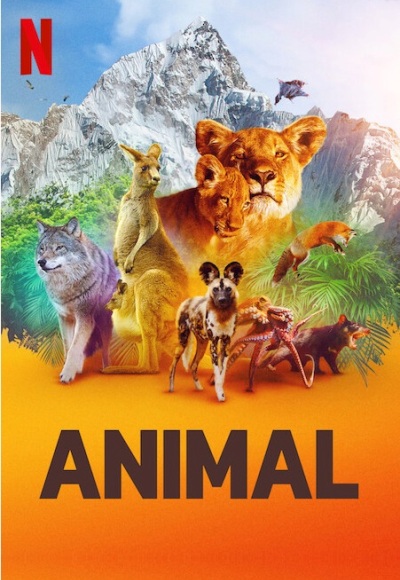 Animal (In Hindi)