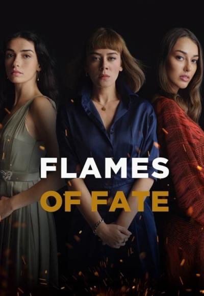 Flames Of Fate (In Hindi)