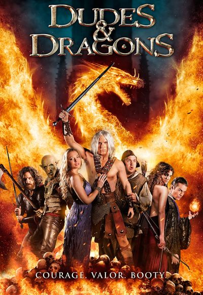 Dudes & Dragons (2015) (In Hindi)